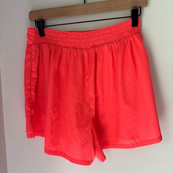 American Eagle Outfitters Lightweight Nylon Beach/Pool Shorts Cover up Bottoms L - Picture 2 of 6